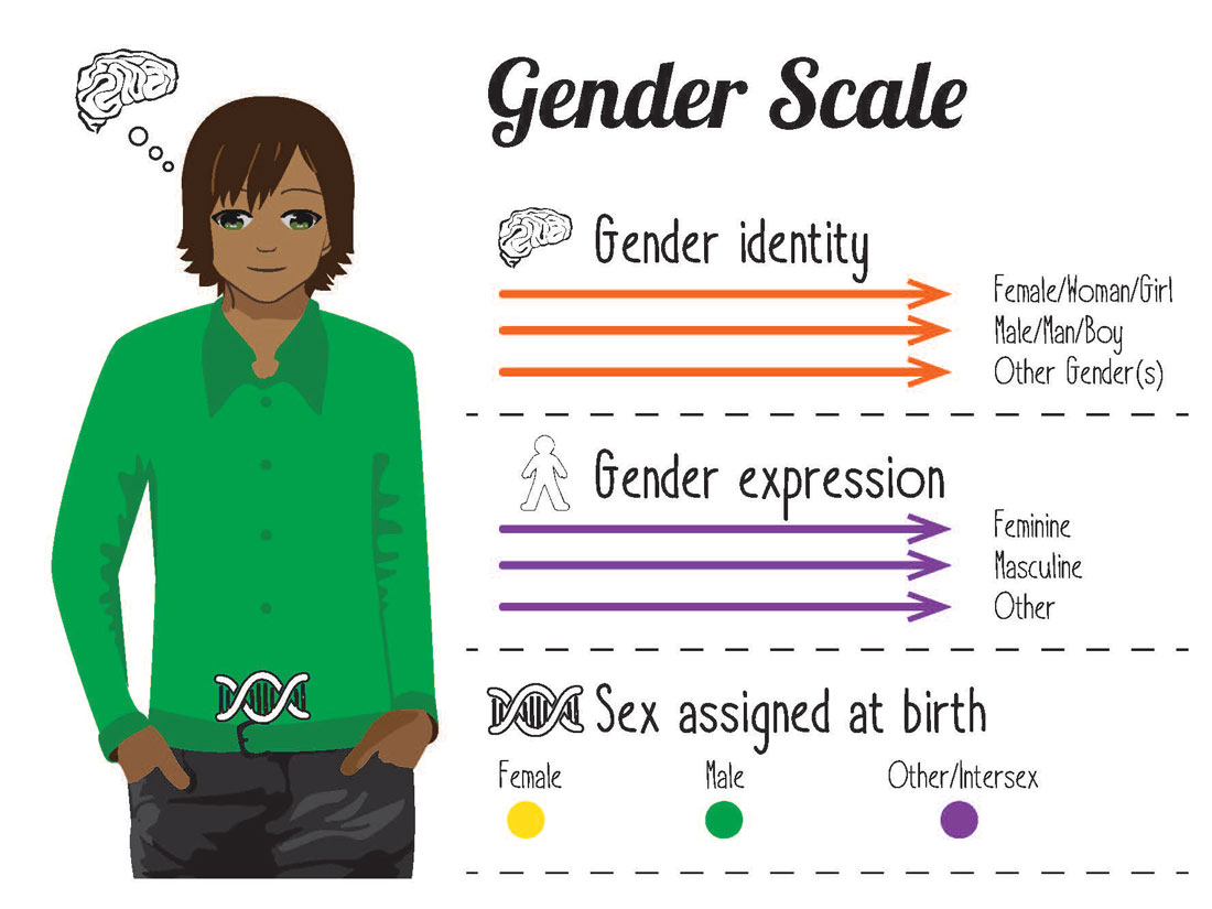 A person thinking about their gender identity along a scale showing Female/Woman/Girl, Male/Man/Boy and other genders. On the gender expression scale, feminine, masculine, other. On the sex assigned at birth scale, female, male and other/intersex.